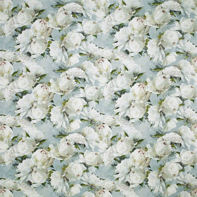 Peonia Lino - Zinc