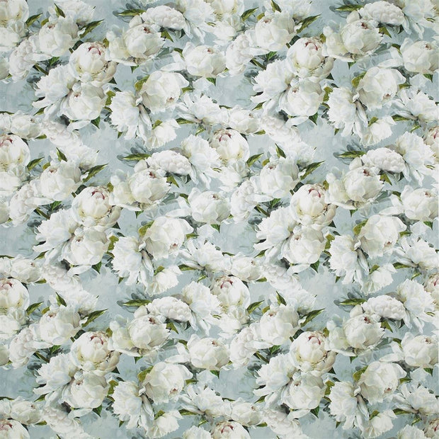 Peonia Lino - Zinc