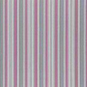 Pinstripe - Cassis