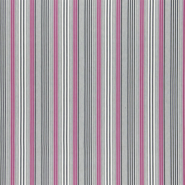 Pinstripe - Cassis