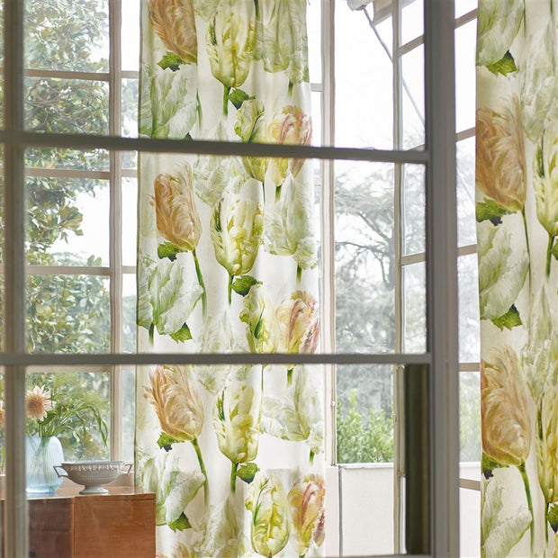 Designers Guild Spring Tulip Buttermilk