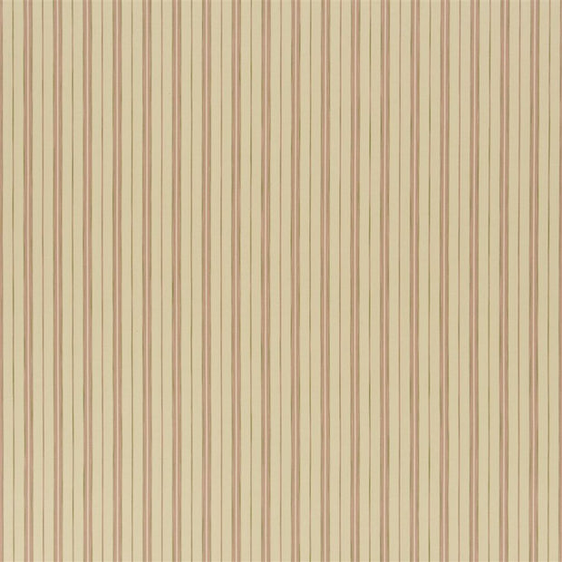 Cedar Point Stripe(f) - Shell