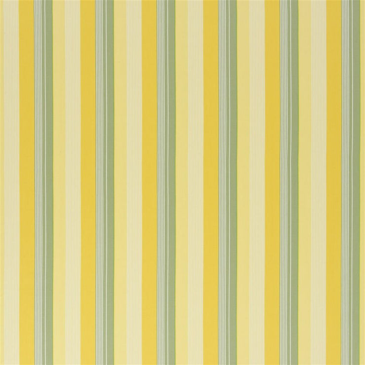 Greenport Stripe (pm)- Yellow/green