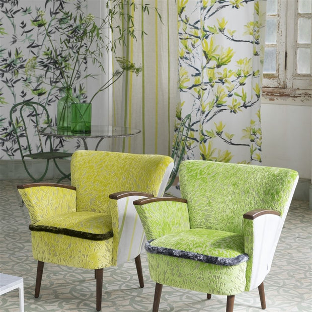 Designers Guild Essentials Brera Nastro - Lime