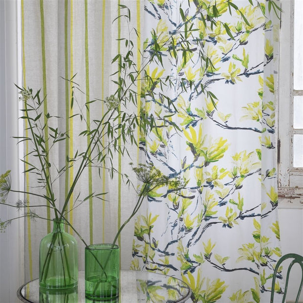 Designers Guild Essentials Brera Nastro - Lime