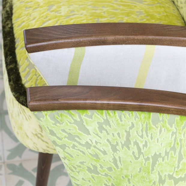 Designers Guild Essentials Brera Nastro - Lime