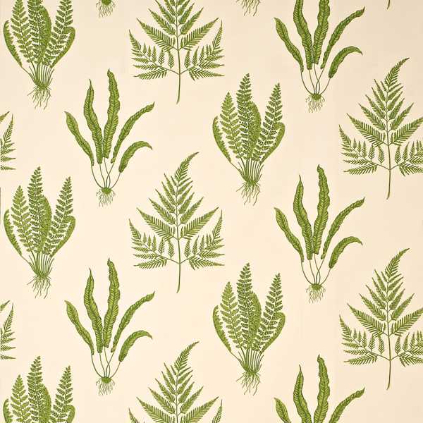 Woodland Ferns DAPGWO202 Green