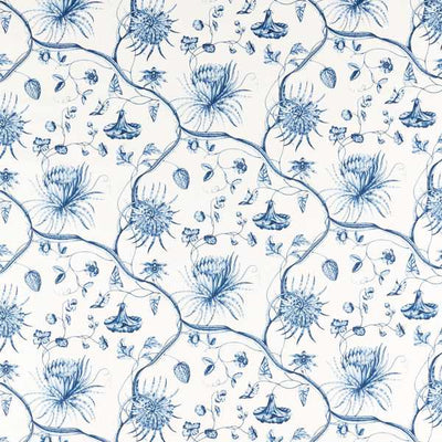 Phaedra Toile Indigo