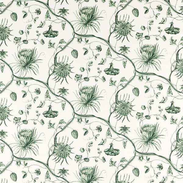 Phaedra Toile Huntsmans Green