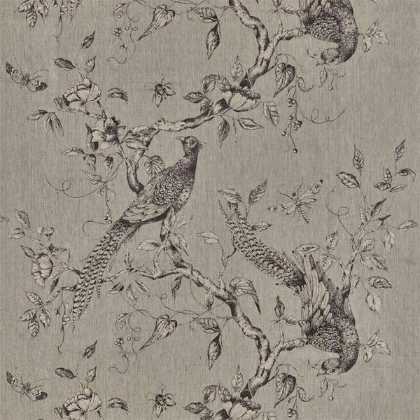 Darnley | Toile